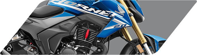 Преимущества Hornet 2.0