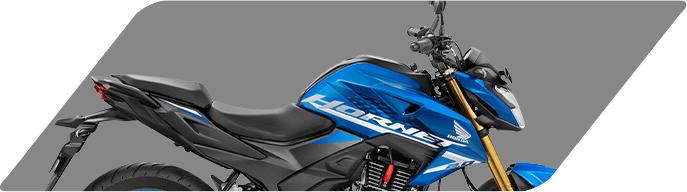 Преимущества Hornet 2.0