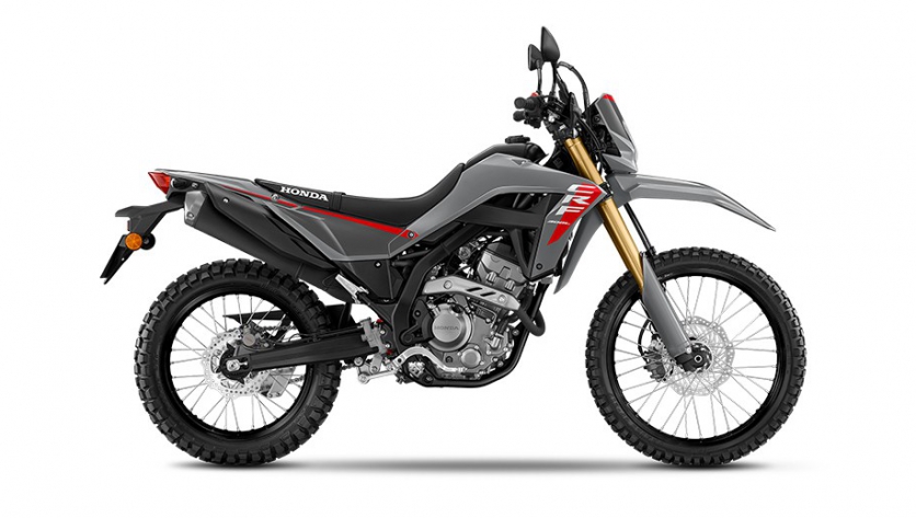 CRF300L